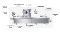 //irrorwxhnjkmlr5p-static.micyjz.com/cloud/lpBprKlnlkSRmkkpjoqliq/thermoforming-packaging-machine.jpg