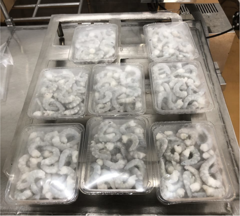 المأكولات البحرية.png